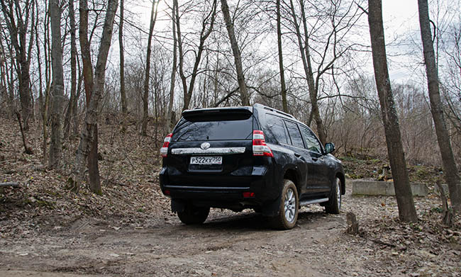 Toyota Land Cruiser Prado 150 в лесу