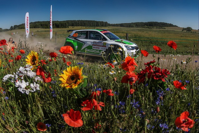         (DRM):   ŠKODA AUTO Deutschland   (Fabian Kreim)        (Mark Wallenwein),  ŠKODA Motorsport           Fabia R5.