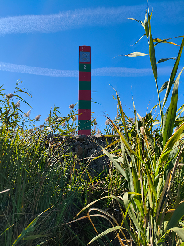      Changan CS95NEW —  4