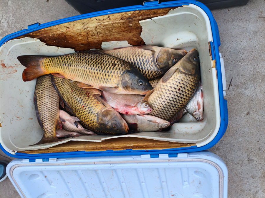      Changan CS95NEW —  4