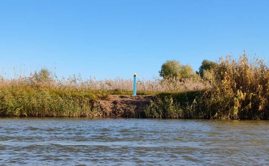      Changan CS95NEW —  4