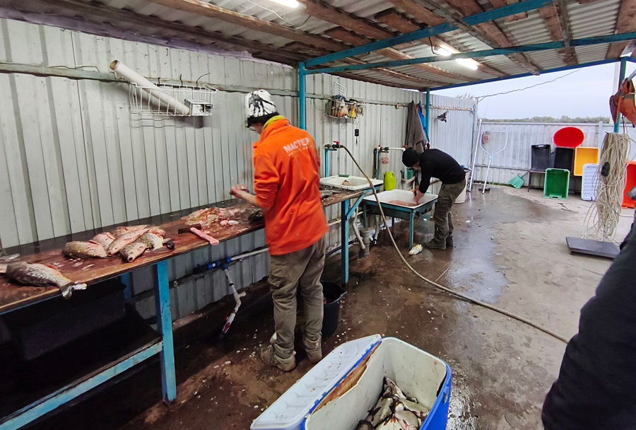      Changan CS95NEW —  4