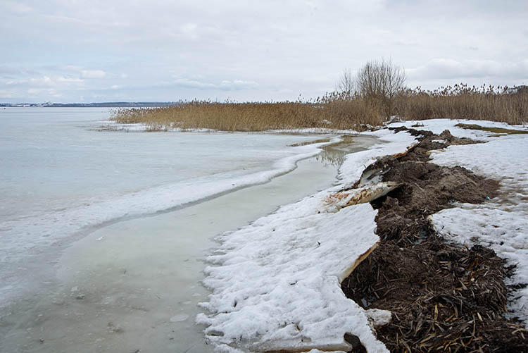 KIA Sportage � ����������-��������� �������� �����