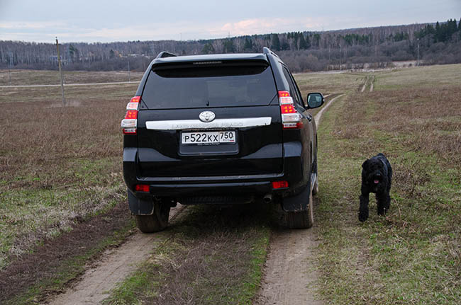 Toyota Land Cruiser Prado 150