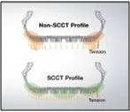  Hankook SCCT (Stiffness Control Contour Theory)