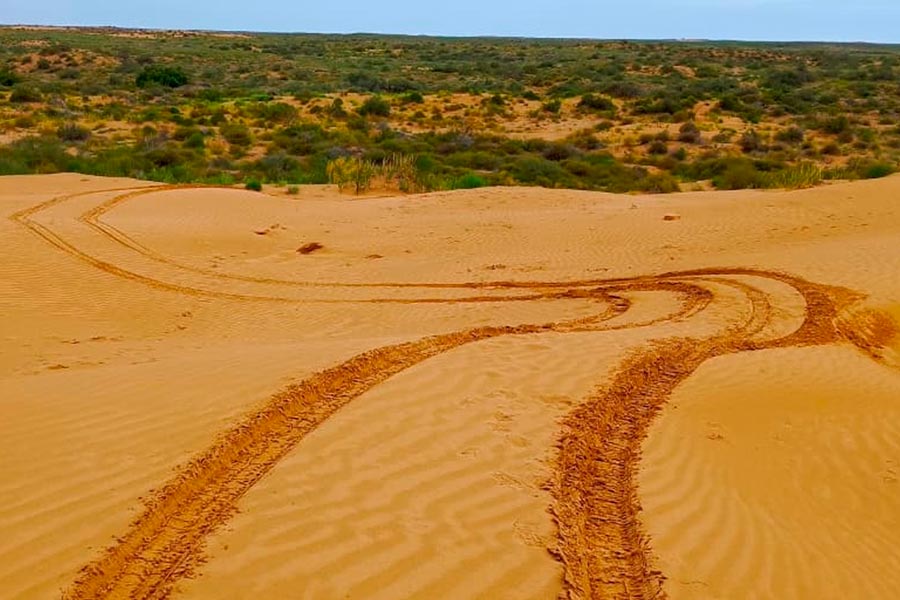 ����������� �� &laquo;������ ������&raquo;