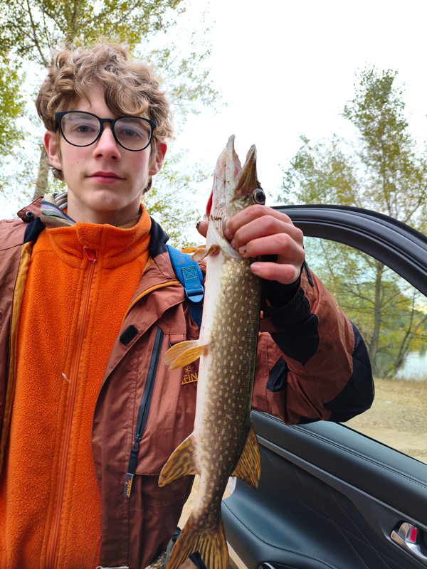 . CHANGAN CS95 NEW —  2. 