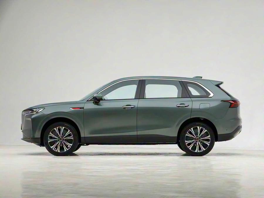 HONGQI        HS6     205   