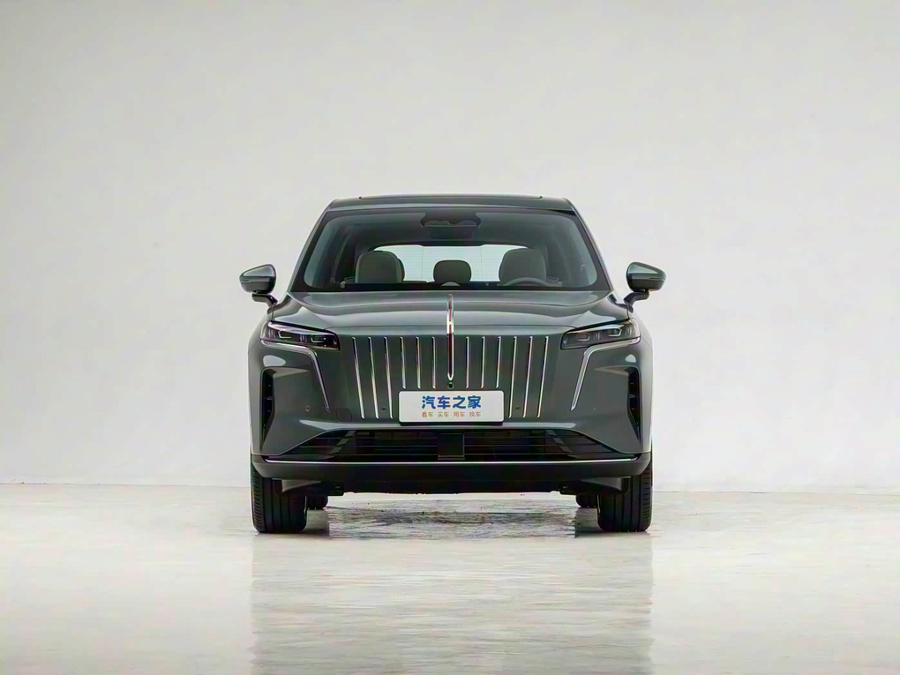HONGQI        HS6     205   