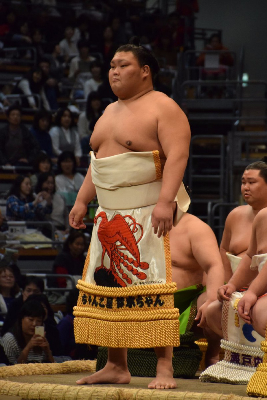 HINODE JAPAN 2025  -, ,        