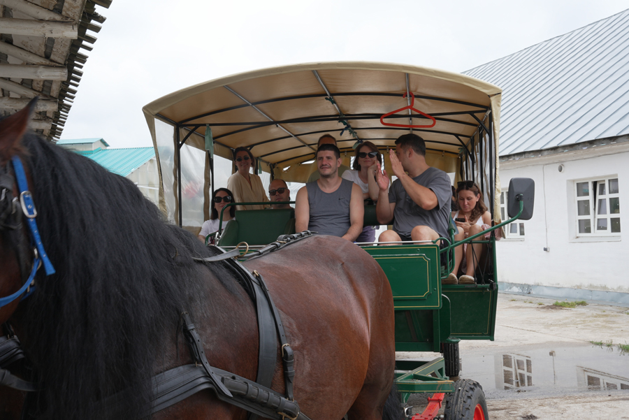  «.»             «»