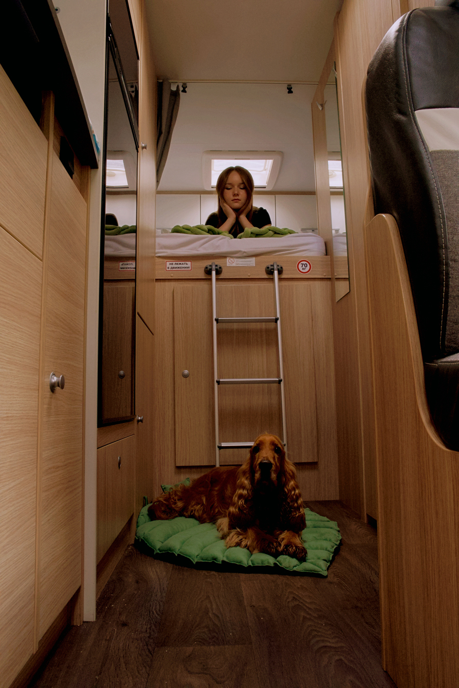  «.»             «»