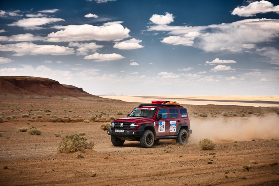  GWM TANK 300  400  4800  « »   