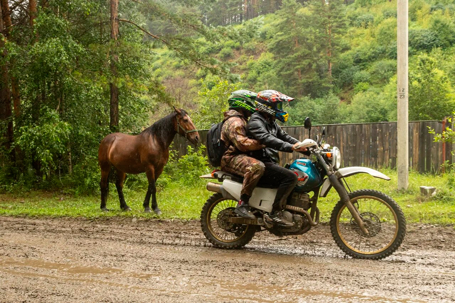  ,       —   «ظ »  