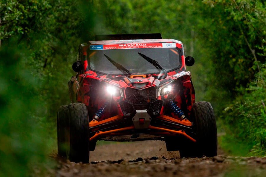  ,       —   «ظ »  