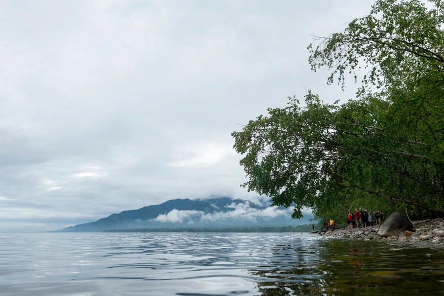  ,       —   «ظ »  