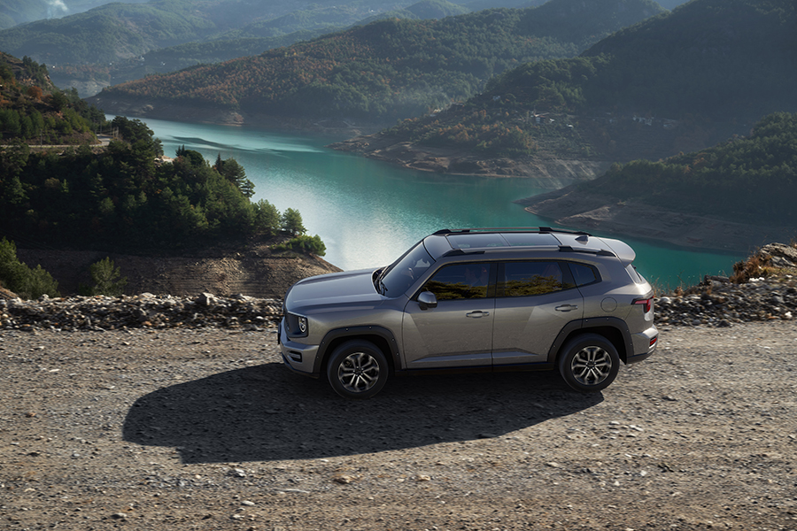 HAVAL H7: ,       !