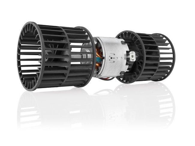   Bosch    ,     :         .