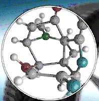 MICHELIN CrossClimate+ –  , 