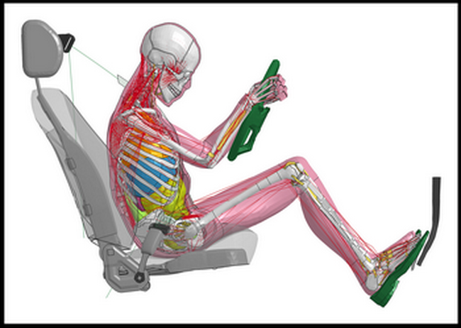     ,       ,   THUMS       ,   ,  ,     -  .