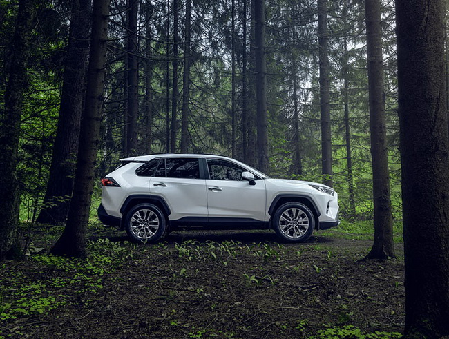        RAV4  «     ».       ,  ,       (EPS),           ,        .      AIM    .